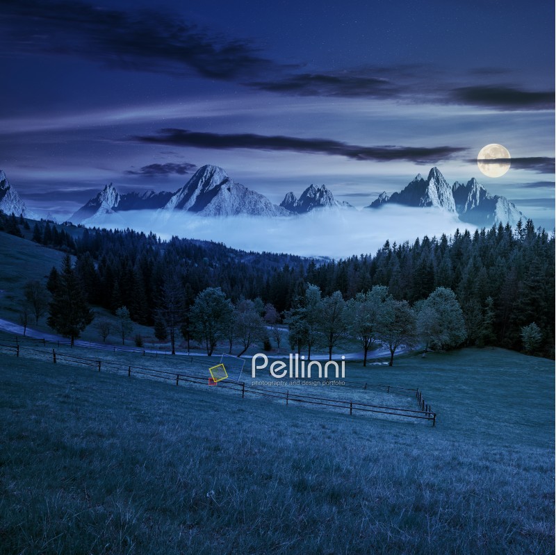 composite summer mountain landscape. rural valley with fence on a  grassy meadow. curve road goes to the spruce forest in front of a huge ridge with rocky peaks at night in full moon light