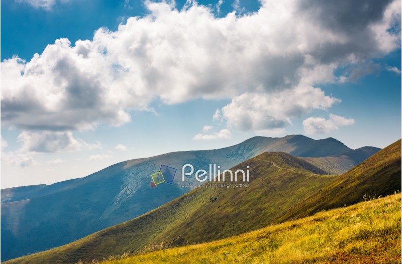 rolling hills of Borzhava mountain ridge in summer. wonderful nature background with grassy slopes under the cloudy sky