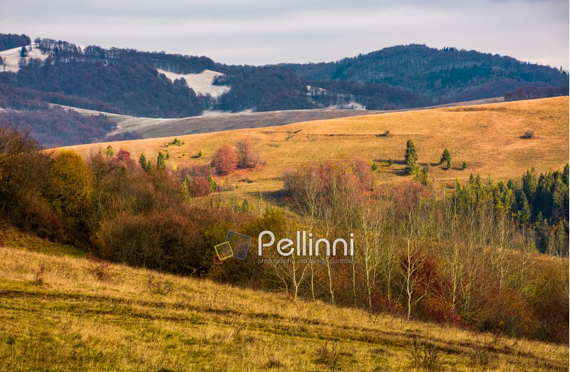 rolling hills with naked forest in autumn under overcast sky