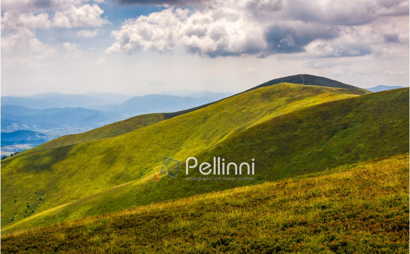 rolling hillsides of Carpathian mountain ridge. Beautiful nature background with cloudy sky