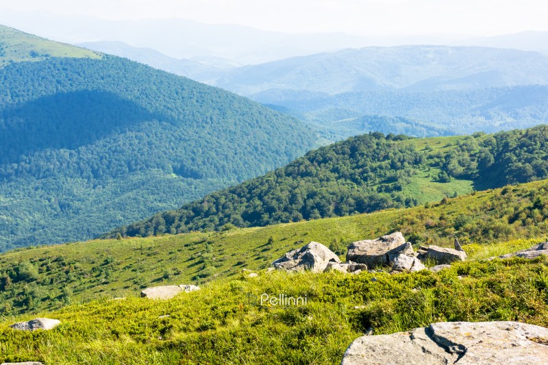 rolling landscape with stones on the grassy slope. sunny morning. beautiful alpine scenery of carpathian mountain smooth in summer. clouds on the bright blue sky. scenic view in to the distant valley