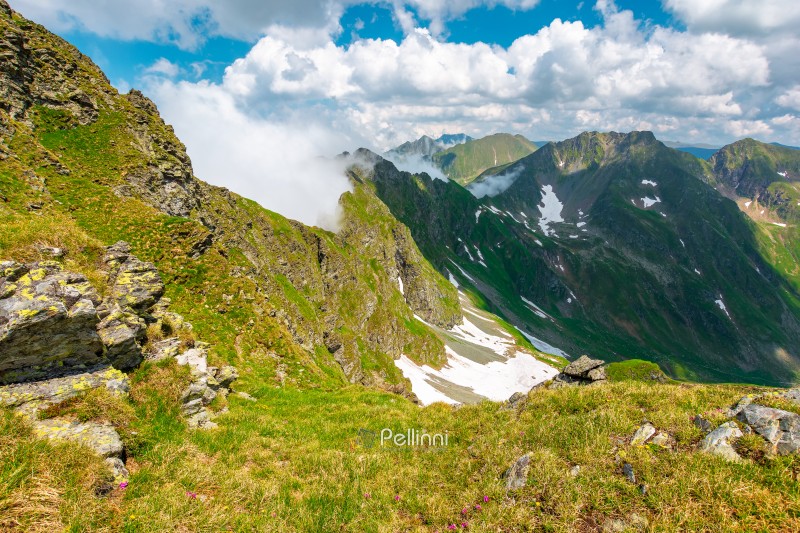 romania mountain landscape in summer. travel background of alpine scenery in fagaras mountain ridge. european summer outdoor adventures