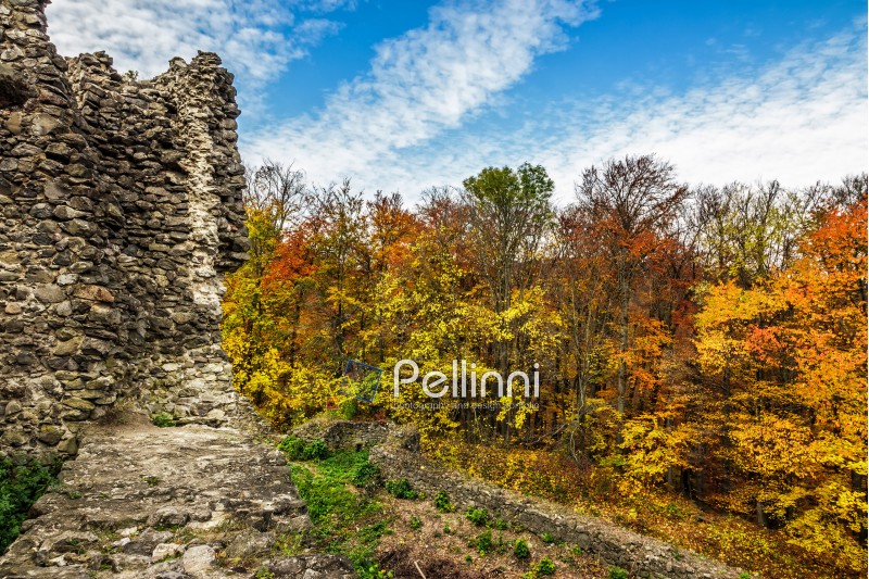 castle; wall; old; ruin; forest; ancient; stone; building; tower; autumn; landscape; nature; architecture; history; ruins; travel; background; sky; landmark; view; fortress; fortification; autumn; tourism; fort; historical; hill; europe; abandoned; trees; scenery; clouds; fall; texture