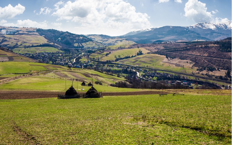 rural area in Carpathian mountains. haystacks on grassy agricultural fields. village down in the valley. mountain with snowy top on a beautiful springtime day