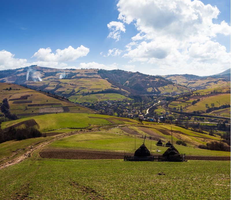 rural area in Carpathian mountains. haystacks on grassy agricultural fields. village down in the valley. mountain with snowy top on a beautiful springtime day