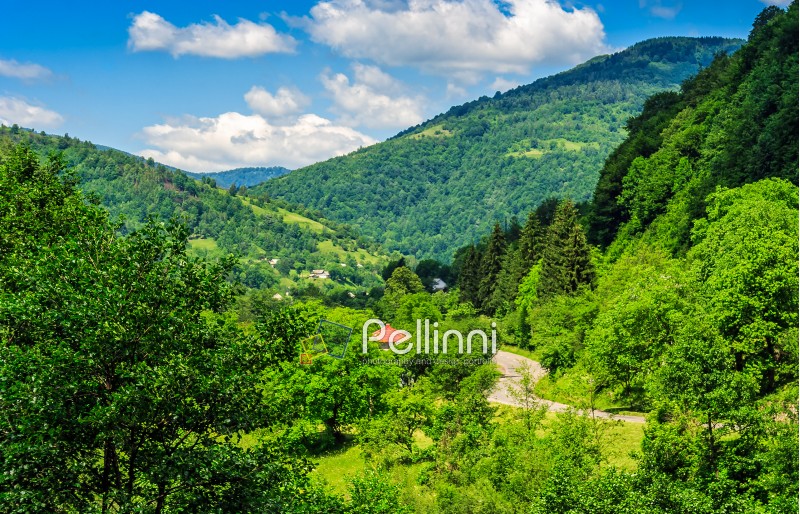 village in the beautiful valley in vivid Carpathian mountain rural area landscape