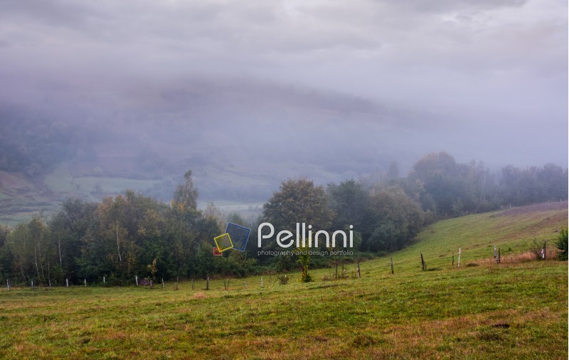 rural area in mountains on a cloudy foggy morning. gloomy but gorgeous landscape with trees and fields on a rolling hills in autumn