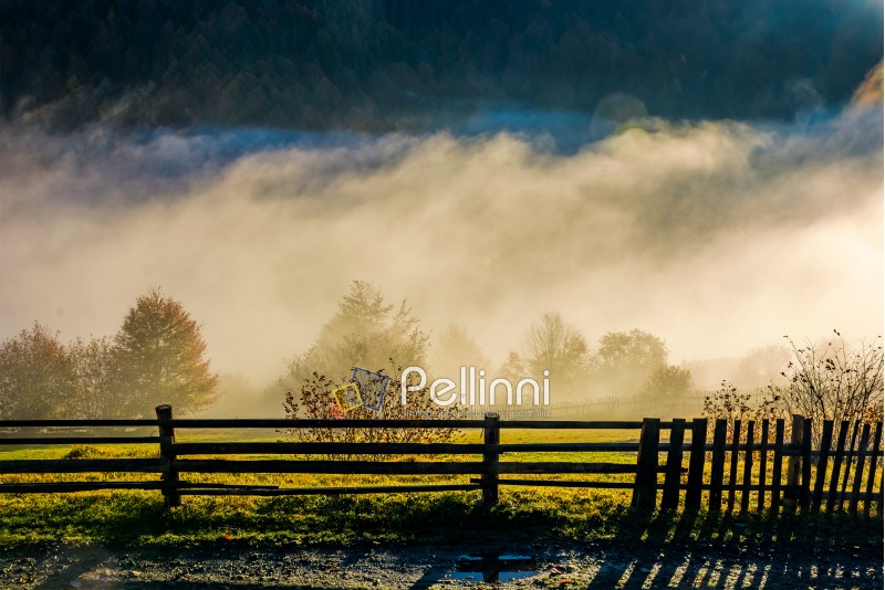 rural area on hillside in rising cloud at sunrise. gorgeous autumnal countryside scenery in foggy mountains