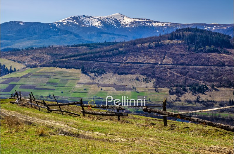 fence on the rural meadow in mountain region in spring time