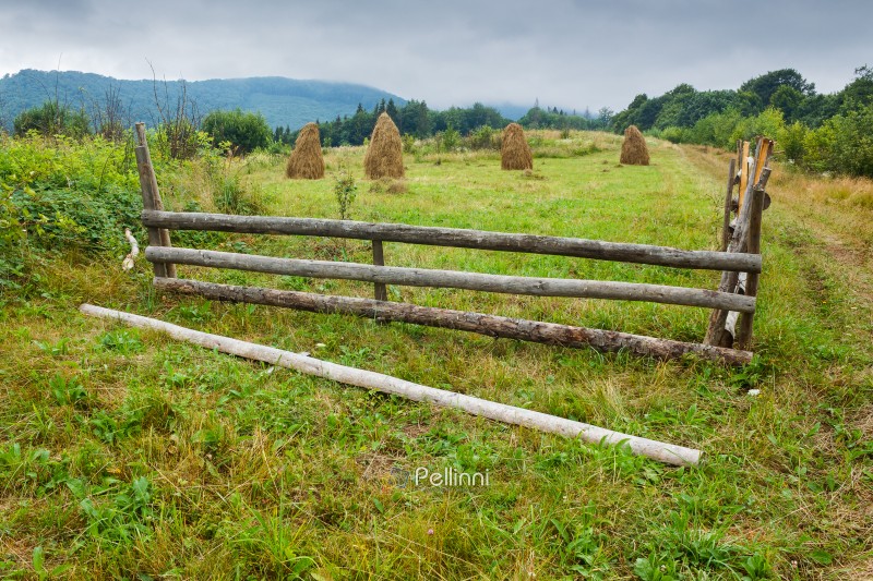 rural field behind the wooden fence. countryside landscape in mountains on a rainy day. organic haystack on the meadow