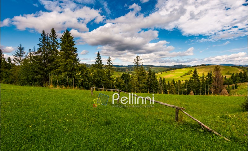 rural fields behind the wooden fence on hills in mountainous area near forest. lovely countryside landscape in autumn