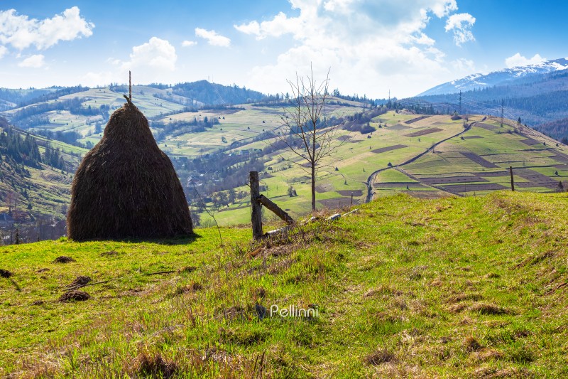 rural landscape in mountains under blue sky. agriculture nature in early spring. haystack on green hill. scenic countryside. green environment sustainability and protection. background for earth day