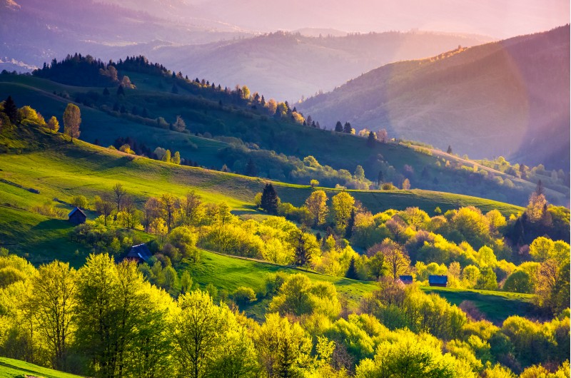 rural landscape of Carpathians in springtime. Spectacular view of grassy rolling hills in evening