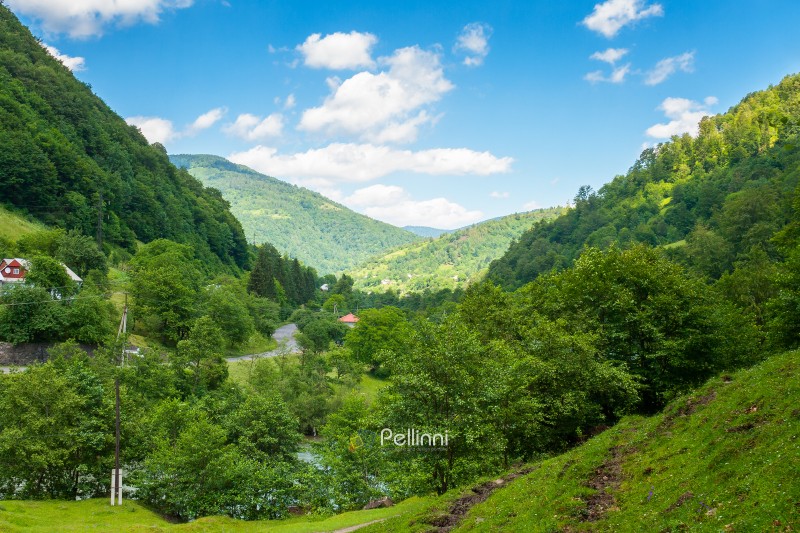 rural landscape of carpathian mountains in summer. remote region. countryside scenery with steep forested slopes. road winding through village among green rolling hills