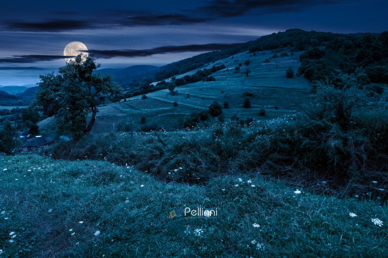 rural landscape with field on a hill in summer at night. beautiful view of agriculture land in full moon light. outdoor adventure in rustic farmland