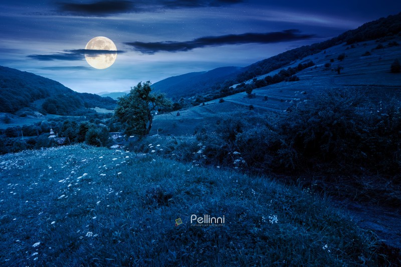 rural landscape with field on a hill in summer at night. countryside with meadow on mountain in full moon light. dark scene near village with dirt road and church
