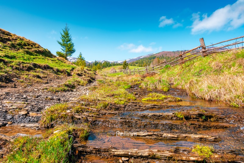 rural scenery in carpathian mountains of ukraine. simple view of a countryside mountain landscape during sunny forenoon in springtime. brook near the grassy hills. peaceful vacation in highland