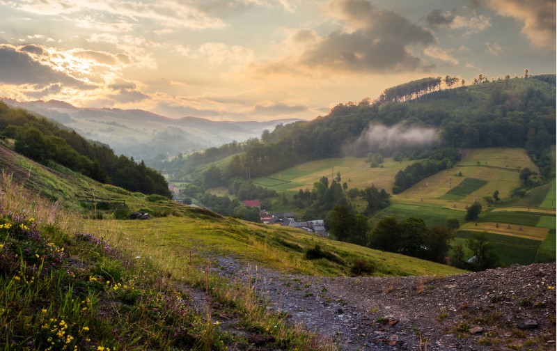 rural valley with forested hills at sunrise. beautiful summer landscape in Carpathian mountains