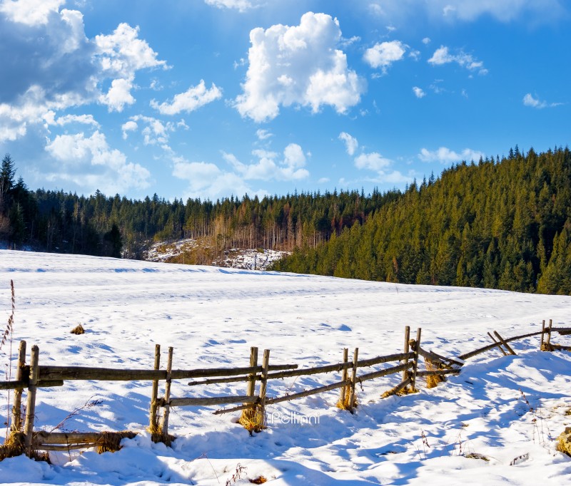 rustic wooden fence through snow covered hill. beautiful view on winter sunny morning in carpathian mountains. alpine village outskirts near forest in rural landscape. remote countryside of ukraine