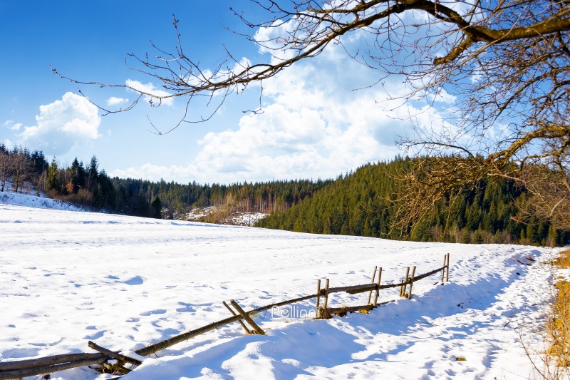 rustic wooden fence through snow covered hill. beautiful view on winter sunny morning in carpathian mountains. alpine village outskirts near forest in rural landscape. remote countryside of ukraine