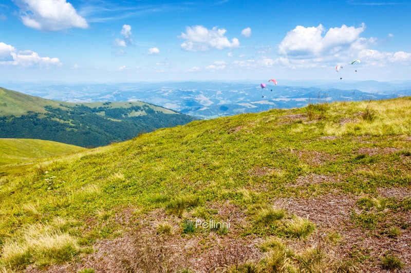 scenic mountain landscape with green hill. travel background in summer. scenery of borzhava ridge with steep slope. beautiful view of a terrain with grass on a high altitude under blue sky with clouds