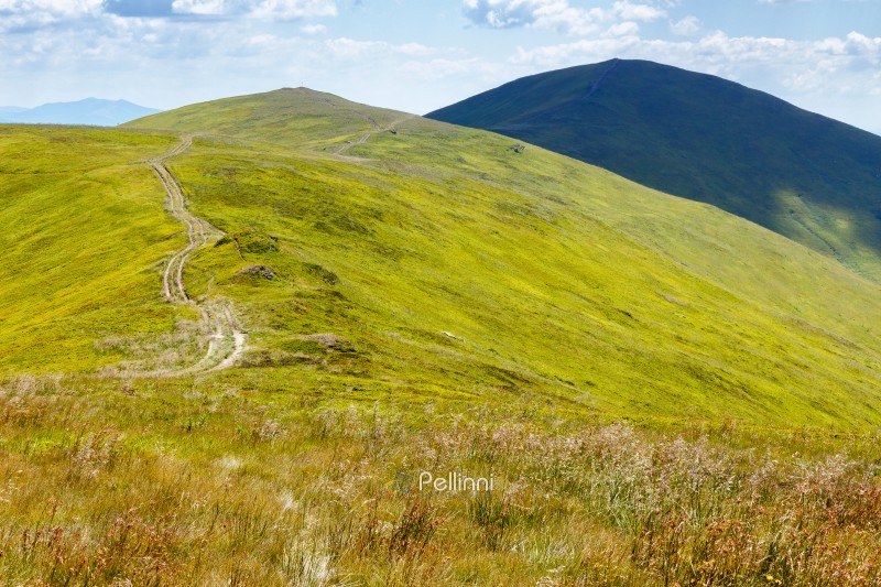 scenic mountain landscape with green hill. travel background in summer. scenery of borzhava ridge with steep slope. beautiful view of a terrain with grass on a high altitude under blue sky with clouds