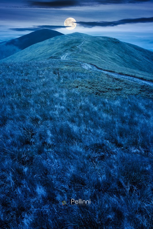 scenic mountain landscape with hill at night. travel background in summer. scenery of ridge with steep slope in full moon light. beautiful view of a terrain with grass on a high altitude under dark sky