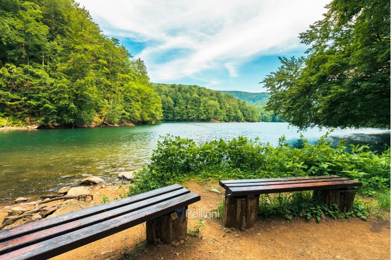 scenic view of the lake among beech forest. wooden benches on the shore. sunny afternoon summer weather with fluffy clouds on the sky. beautiful nature background