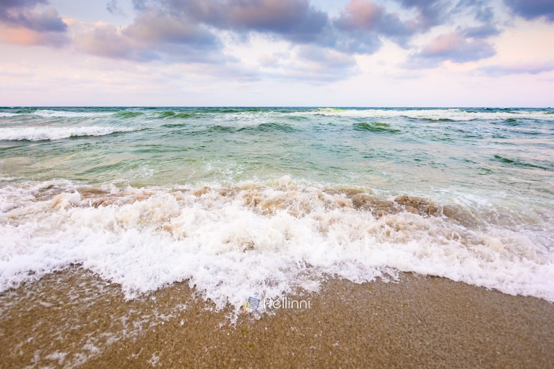 sea tide before storm. wave splash with foam on wet sandy beach. windy weather on velvet season. dramatic seascape background