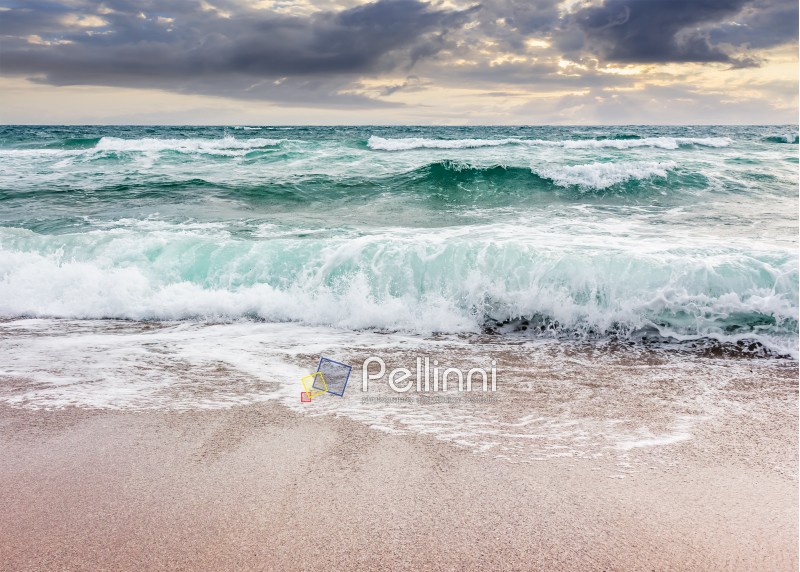 seascape in stormy weather at cloudy sunrise. green waves crashing on golden sand of the beach