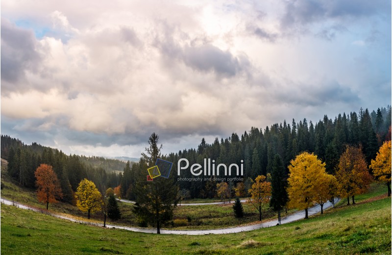 serpentine through forest in autumn. beautiful mountainous landscape with gorgeous cloudscape in evening. creative distortion applied. lovely travel background