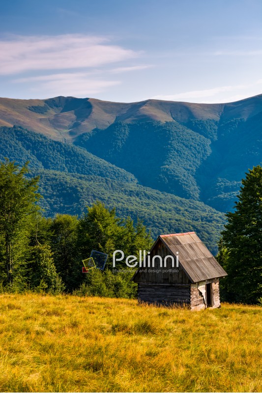 shed on a grassy slope in mountains. beautiful scenery in Carpathians