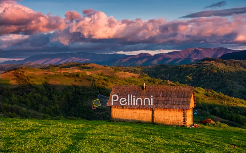 shed on the grassy hillside in red evening light. gorgeous springtime rural landscape in mountains under the blue sky with pink clouds