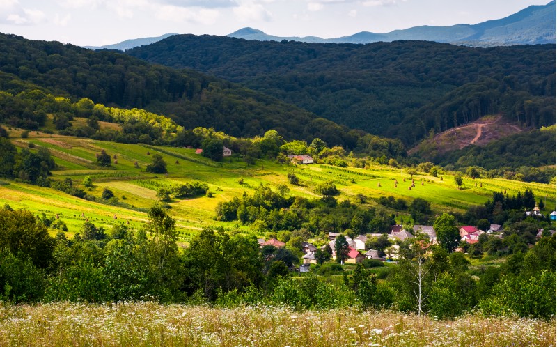 small Carpathian village in mountains. beautiful landscape with forested hills and agricultural fields