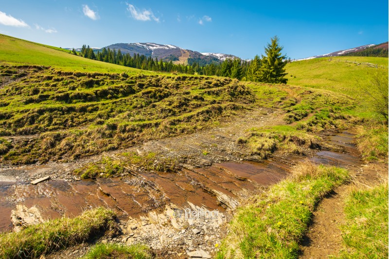small brook in mountains. trees on the hill above the stream. mountain ridge with snowy tops in the distance. wonderful sunny day of springtime