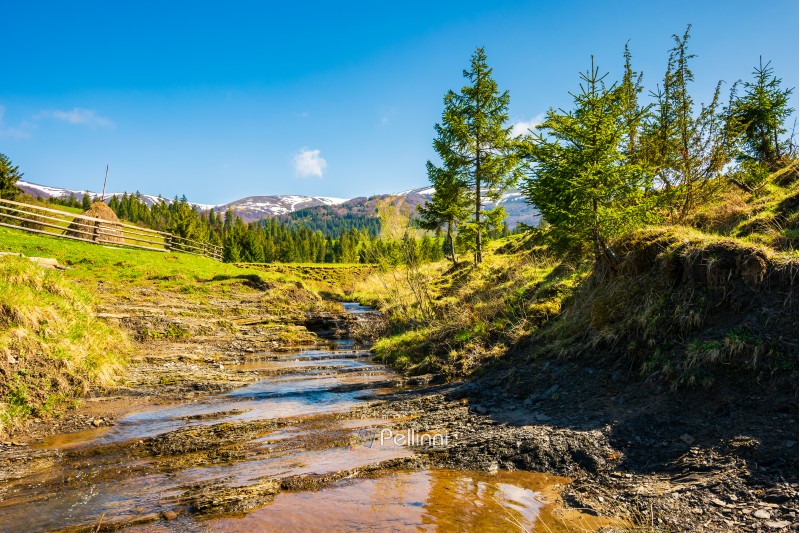 small brook in mountains. trees on the hill above the stream. haystack behind the wooden fence. mountain ridge with snowy tops in the distance. wonderful sunny day of springtime