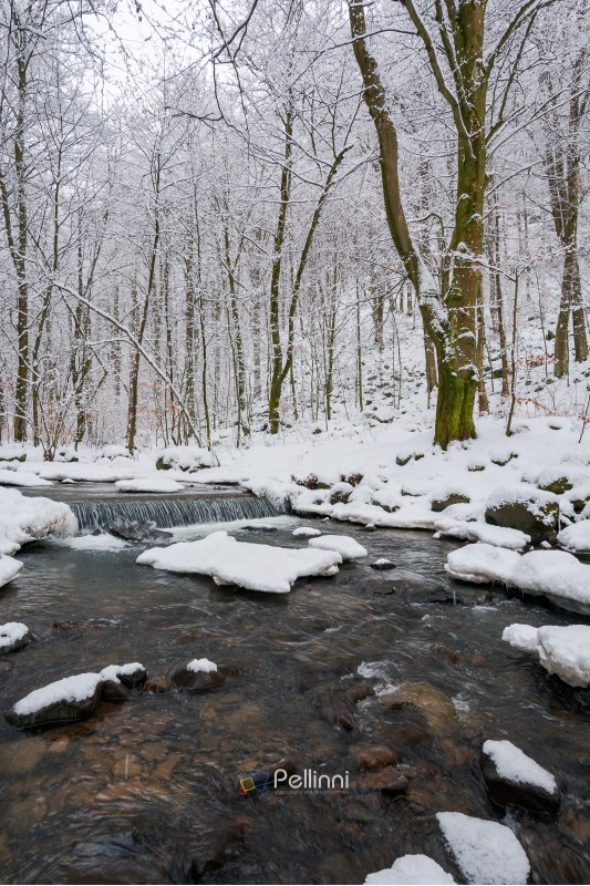 small cascade on the forest creek in winter. beautiful nature scenery
