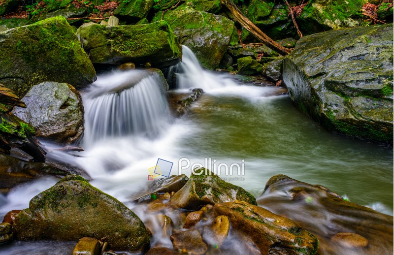 small cascades on the forest river among huge boulders covered with moss. dreamy Carpathian landscape