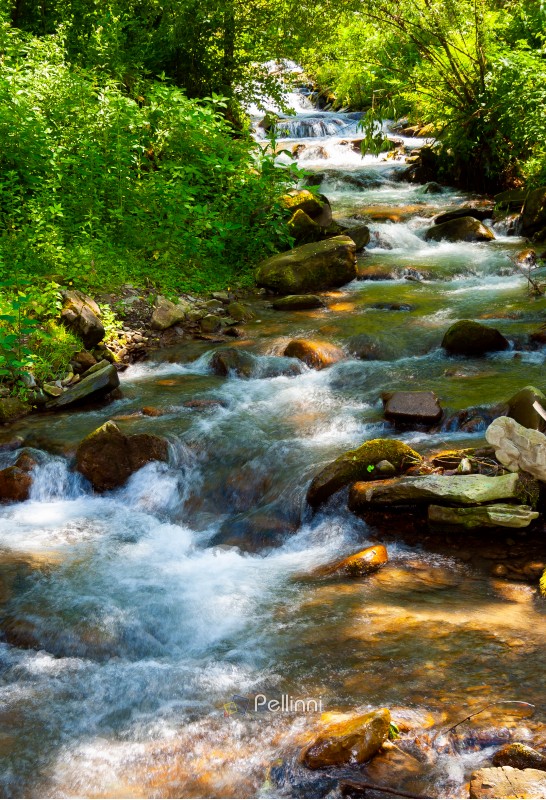 small water stream on sunny day. lovely summer nature scenery