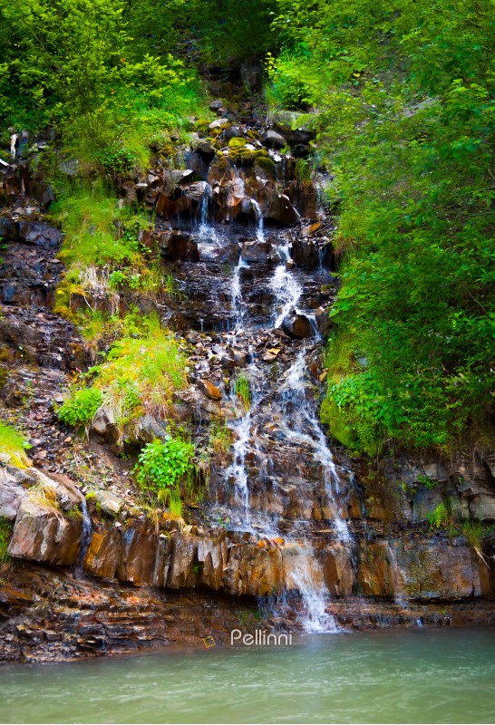 small waterfall in forest. lovely summer nature scenery. fresh and clean environment. Located in Synevyr National park, Ukraine