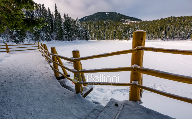 wooden pier on snow covered forest lake Synevyr in Carpathian mountains. gorgeous winter landscape of a popular tourist attraction in soft morning light.