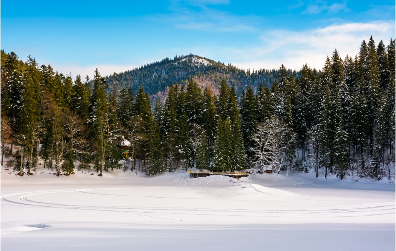 snow covered frozen Synevyr lake in winter. beautiful nature scenery of most visited locations in Carpathian mountains