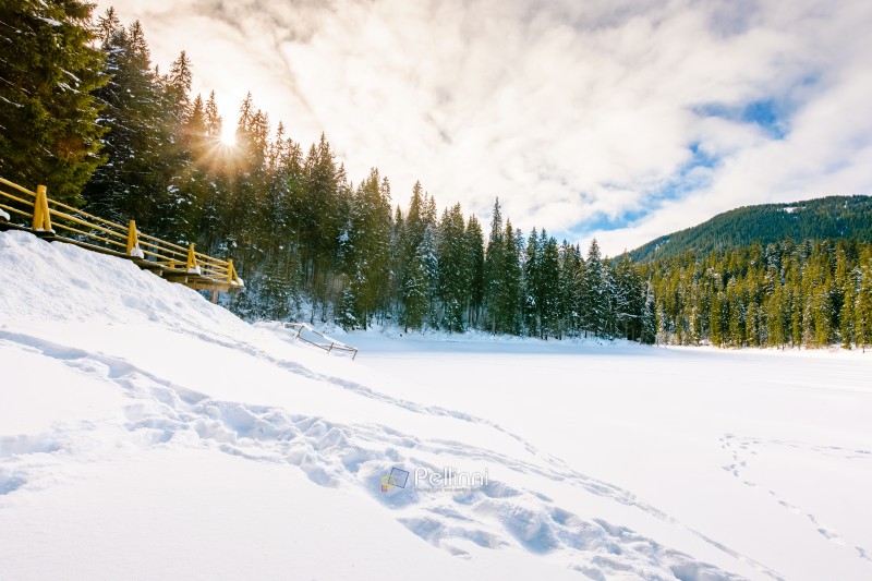 snow covered frozen lake in nature park at sunset. tranquil winter landscape surrounded with coniferous forest on shore in mountains in evening light. storytelling cinematic image under the rainbow