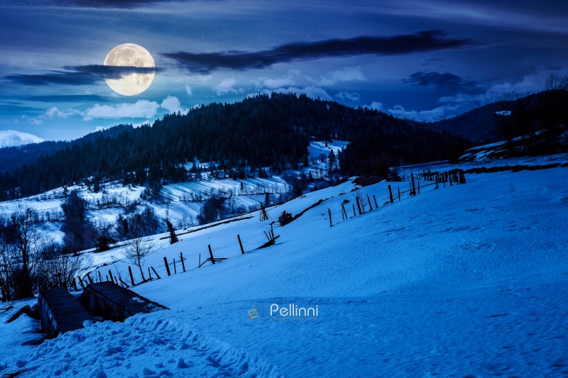 snow covered winter landscape in mountains at night. scenic view of countryside scenery with forested hills in full moon light. rural life. background for investment or abstract concepts