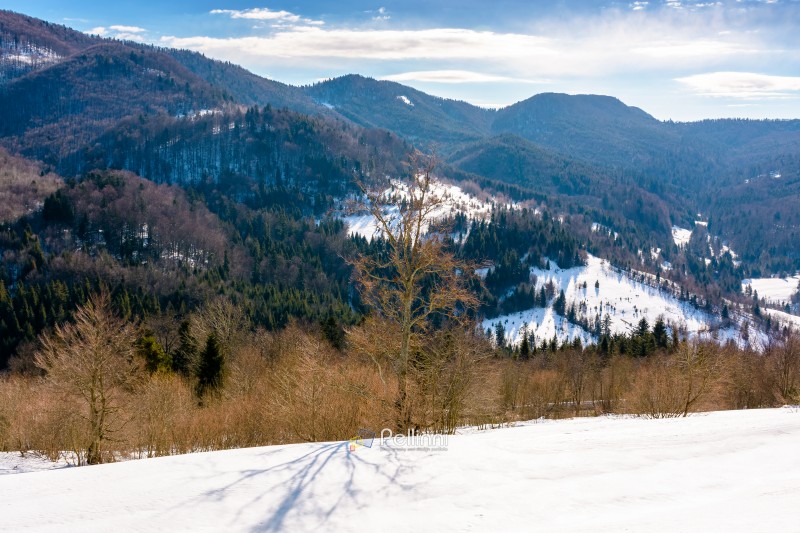snow covered winter landscape of carpathian mountains. scenic view of countryside landscape with forested hills. fields on slopes on a sunny morning. rural life in uzhok village of ukraine