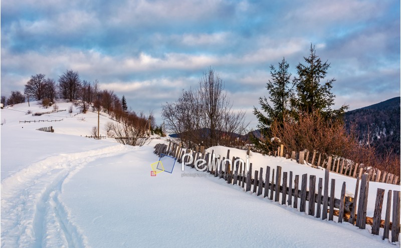 snowy path through rural area in mountains. lovely countryside scenery of wooden fence and naked trees