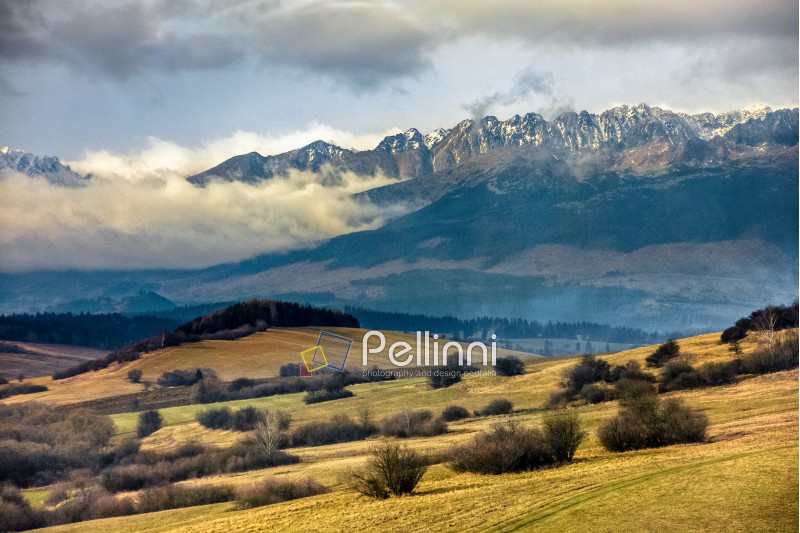 snowy peaks of Tatra mountains in evening haze behind the forest and rural field in autumn