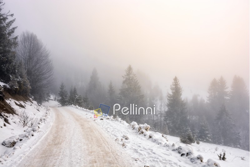 winter mountain landscape. road that leads into the spruce forest covered with snow on a foggy day