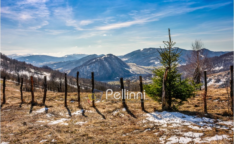 spring has sprung in rural area. wooden fence on agricultural field, yellow weathered grass covered with snow. snowy peaks of mountain ridge in the distance. nature on sunny day under blue sky