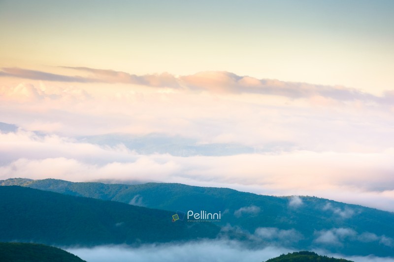 spring mountain landscape of ukraine with fog in valley and clouds on blue sky in morning light. dramatic atmosphere phenomenon view from the top. evaporating forest on the hills of carpathians